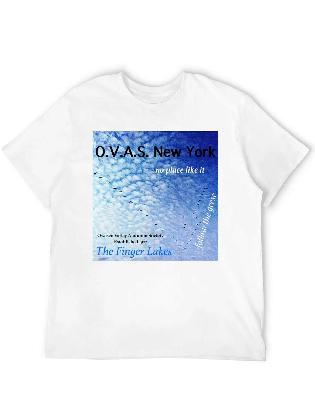 OVAS New York T-Shirt - Finger Lakes Audubon Society Tee product image 11