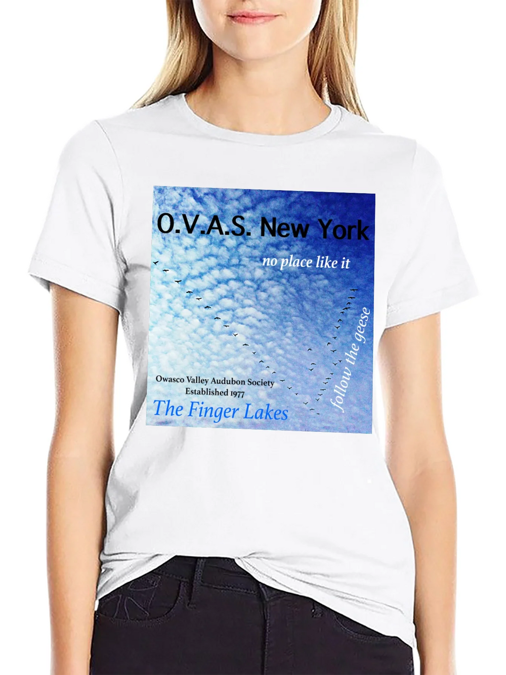 OVAS New York T-Shirt - Finger Lakes Audubon Society Tee product image 8