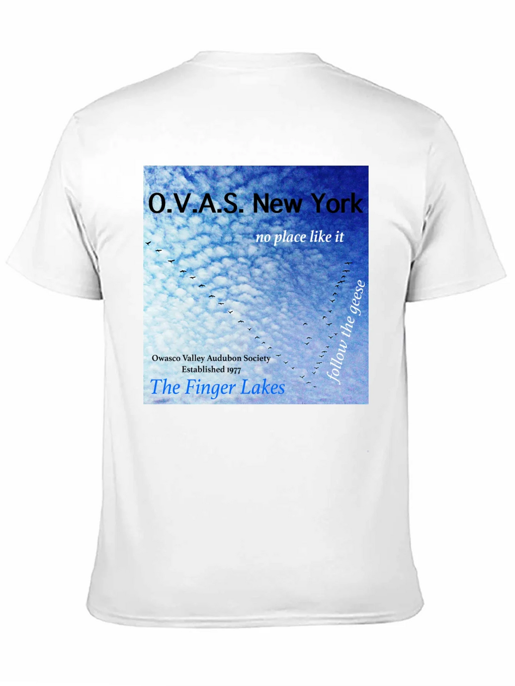OVAS New York T-Shirt - Finger Lakes Audubon Society Tee product image 10