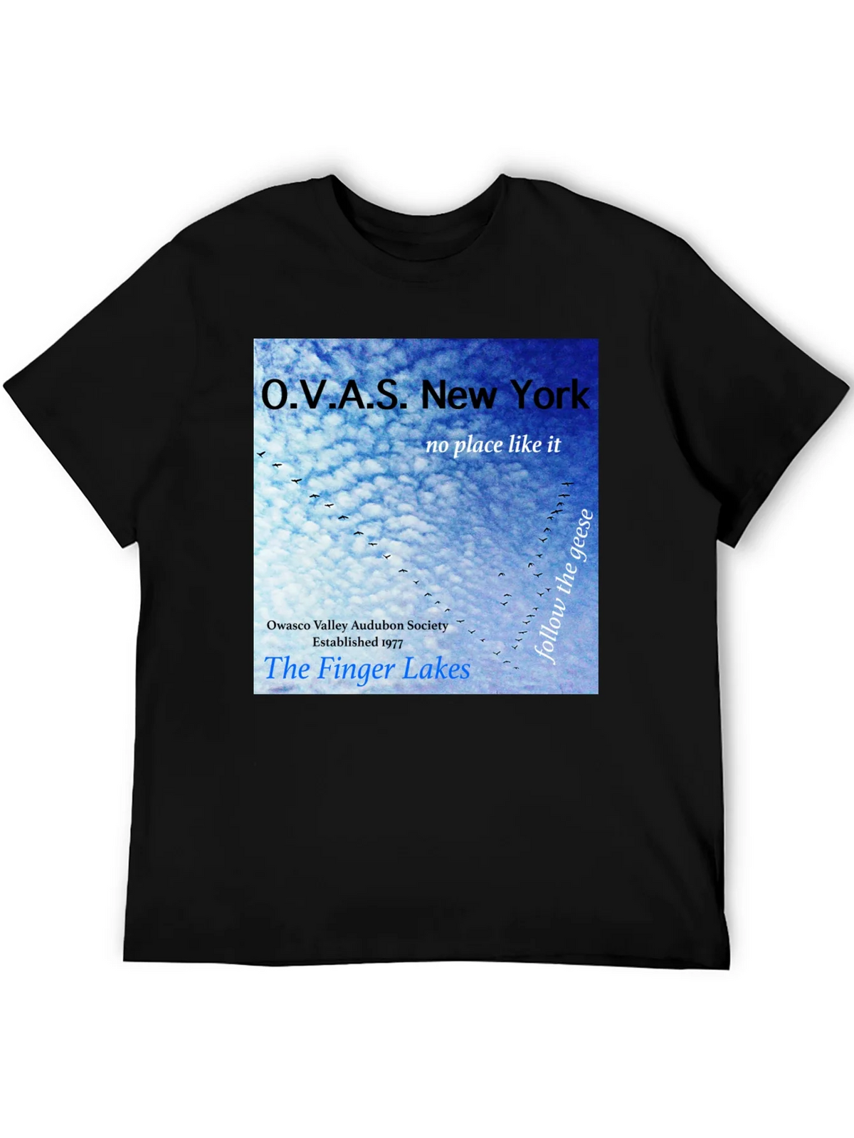OVAS New York T-Shirt - Finger Lakes Audubon Society Tee product image 5