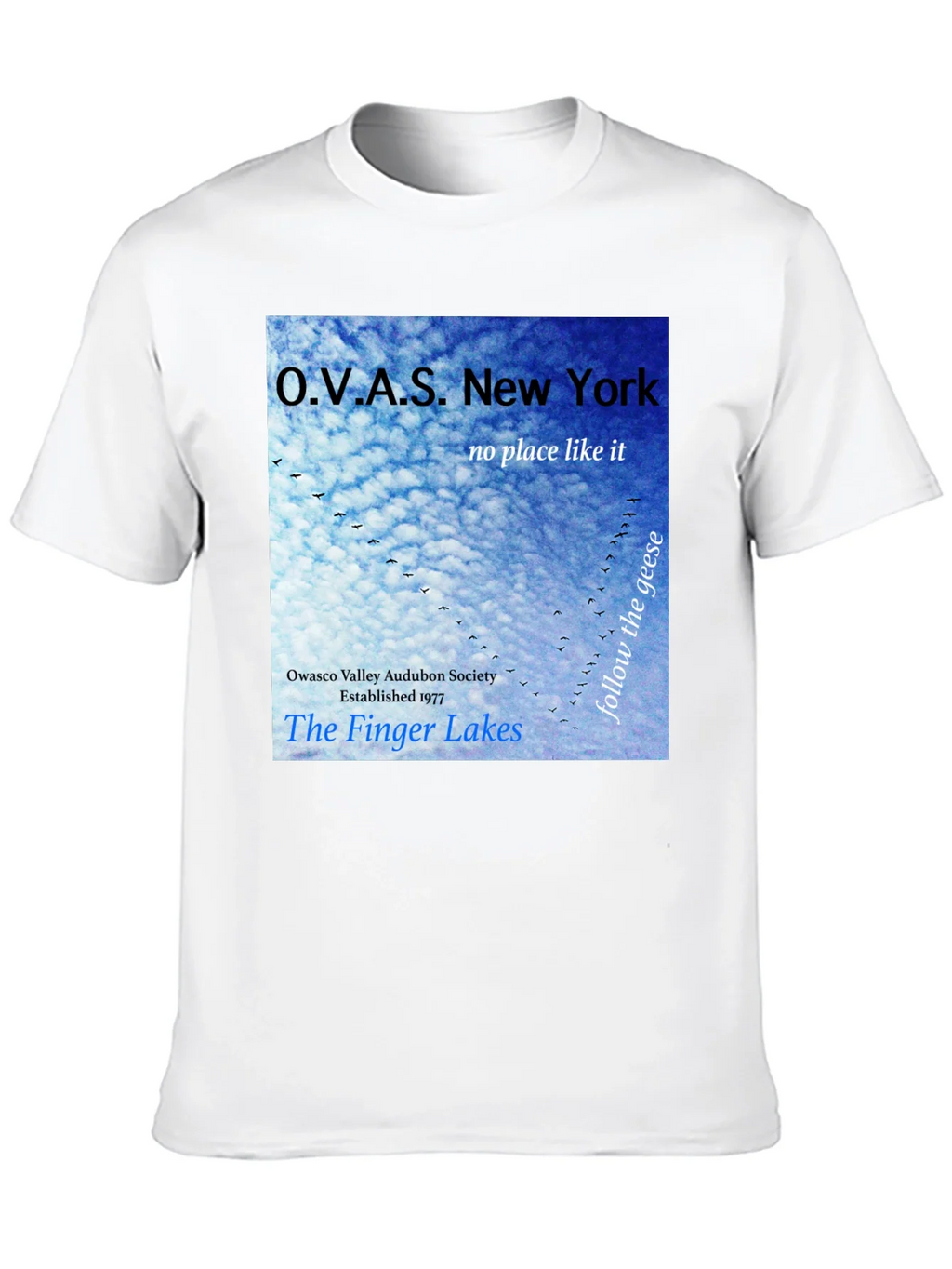 OVAS New York T-Shirt - Finger Lakes Audubon Society Tee product image 9