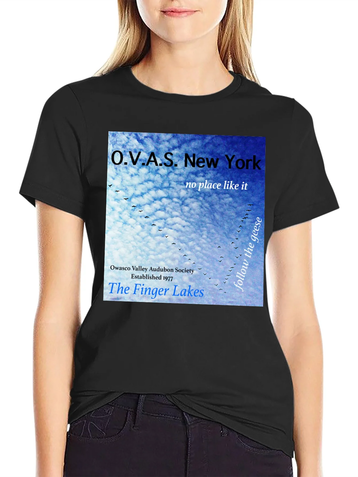 OVAS New York T-Shirt - Finger Lakes Audubon Society Tee product image 2