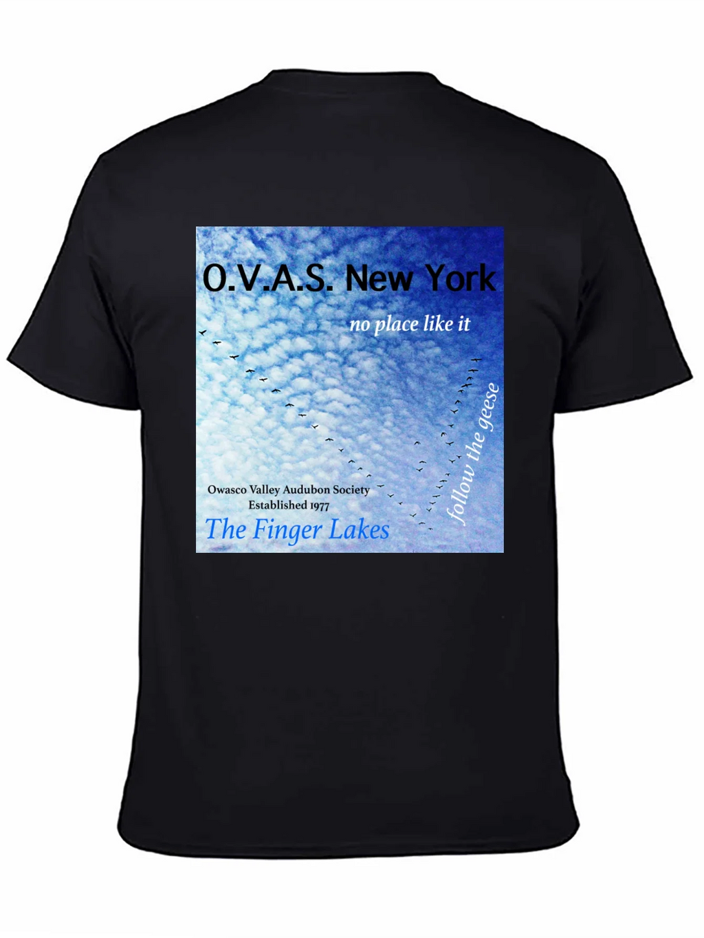 OVAS New York T-Shirt - Finger Lakes Audubon Society Tee product image 4