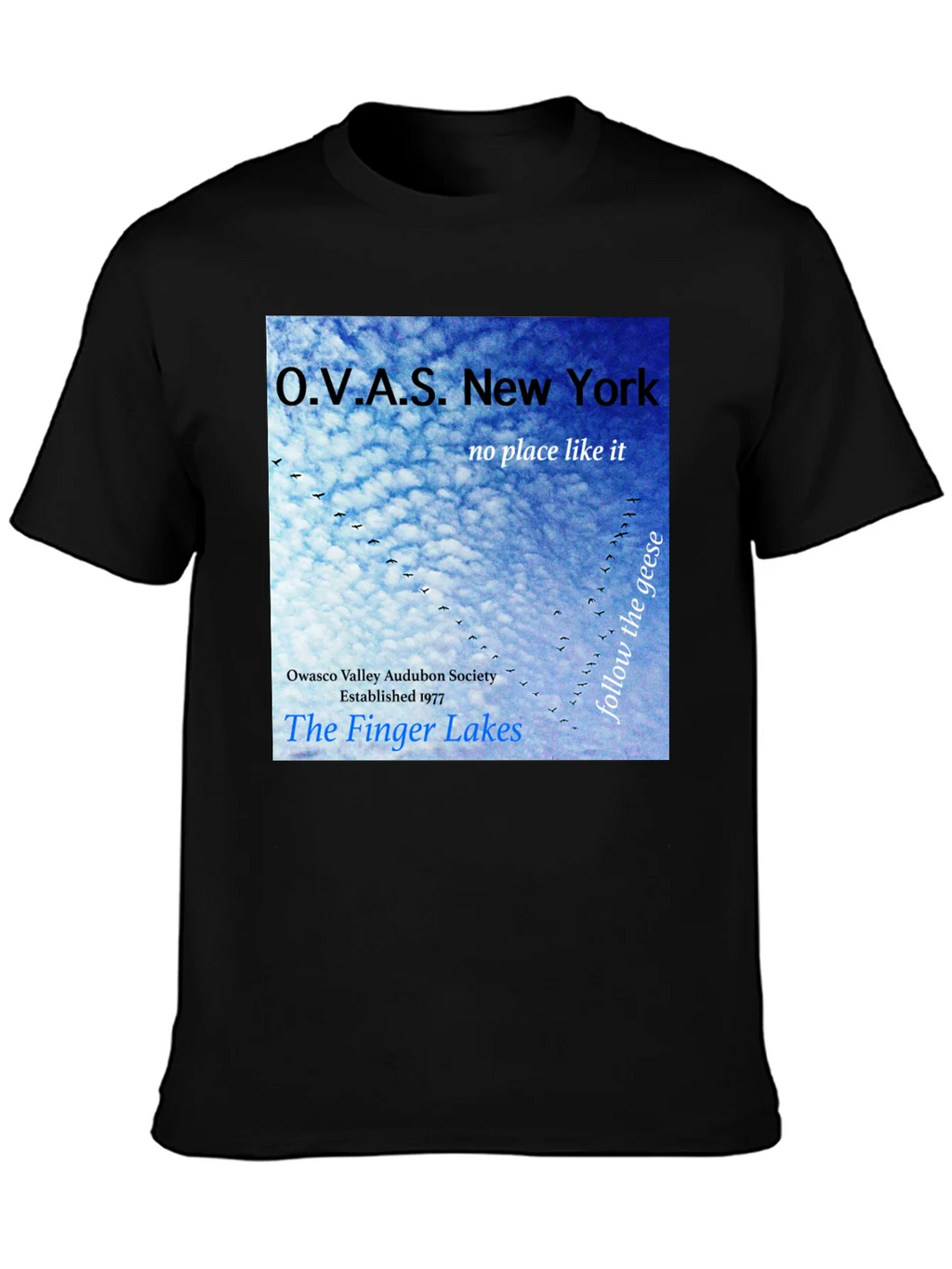 OVAS New York T-Shirt - Finger Lakes Audubon Society Tee product image 3