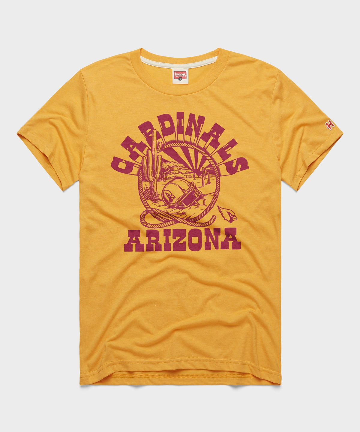Arizona Cardinals Desert Landscape product image 1