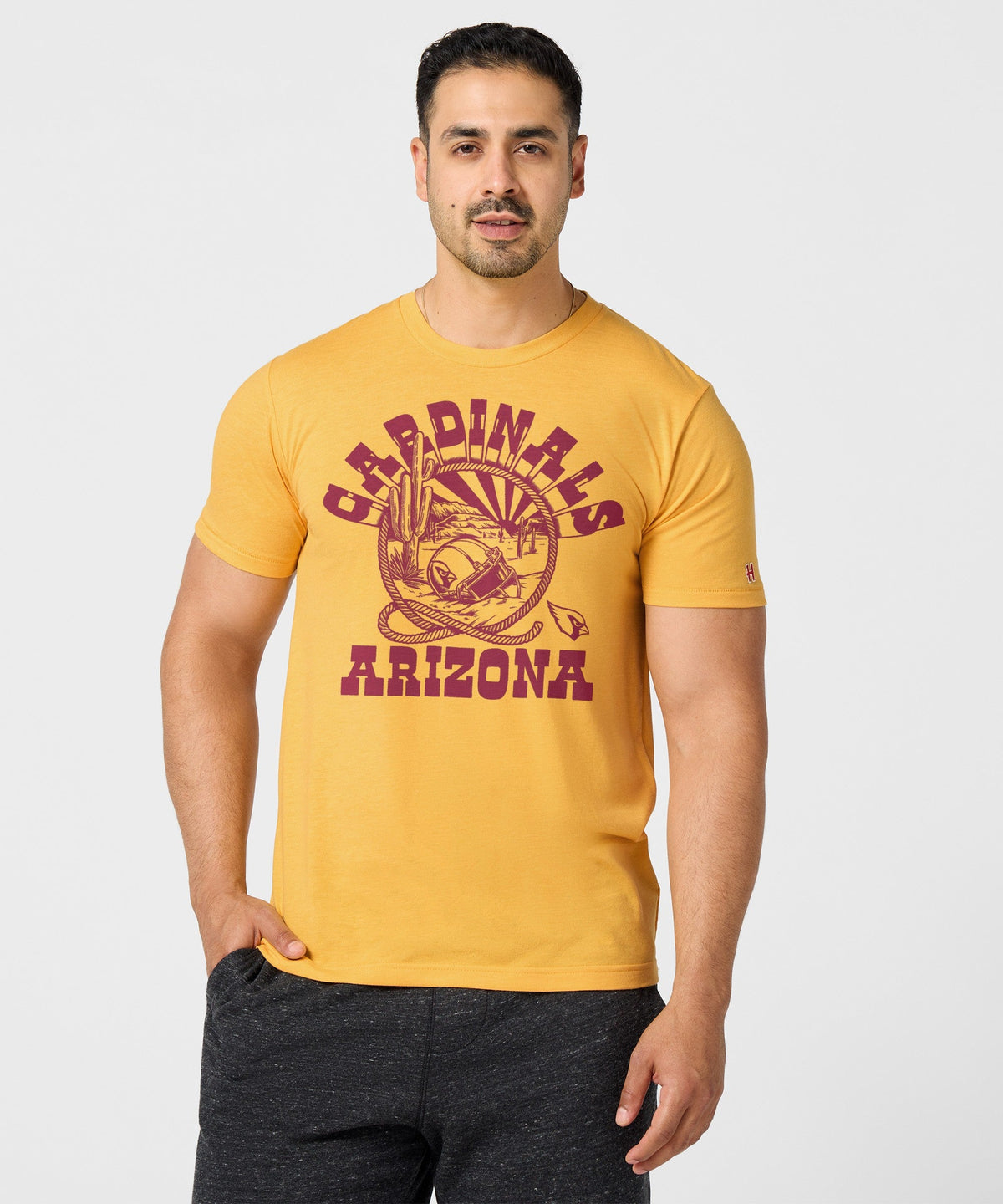 Arizona Cardinals Desert Landscape product image 3