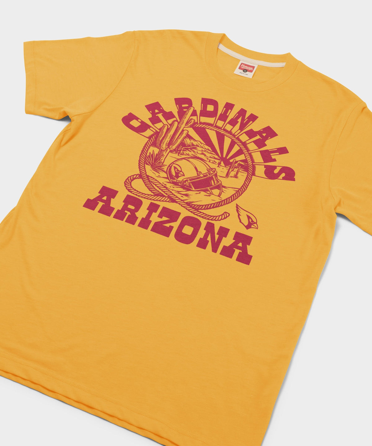 Arizona Cardinals Desert Landscape product image 2