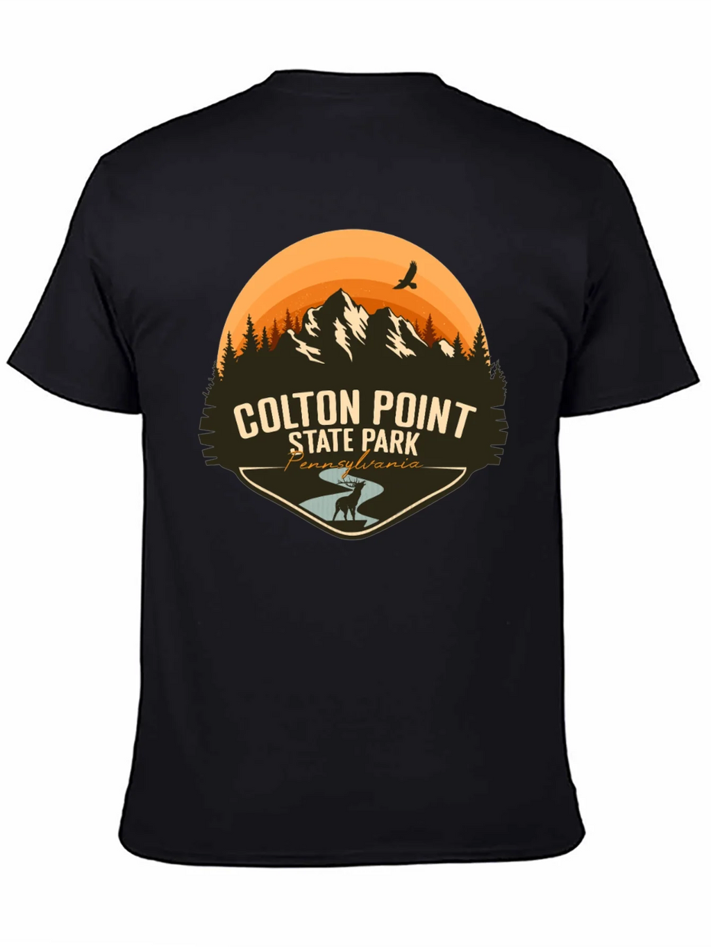 Colton Point State Park T-Shirt - Pennsylvania Souvenir Tee product image 4