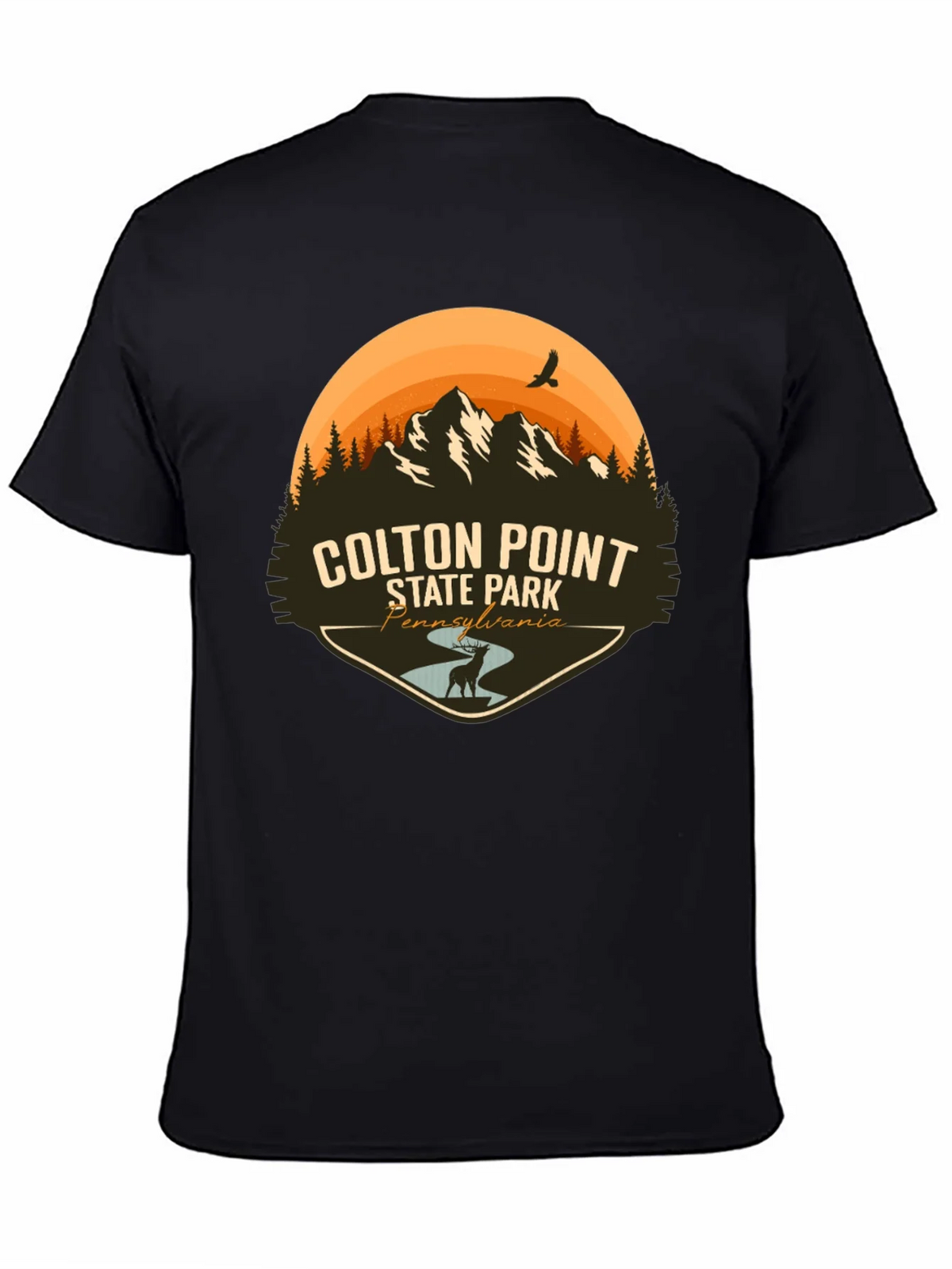 Colton Point State Park T-Shirt - Pennsylvania Souvenir Tee product image 4