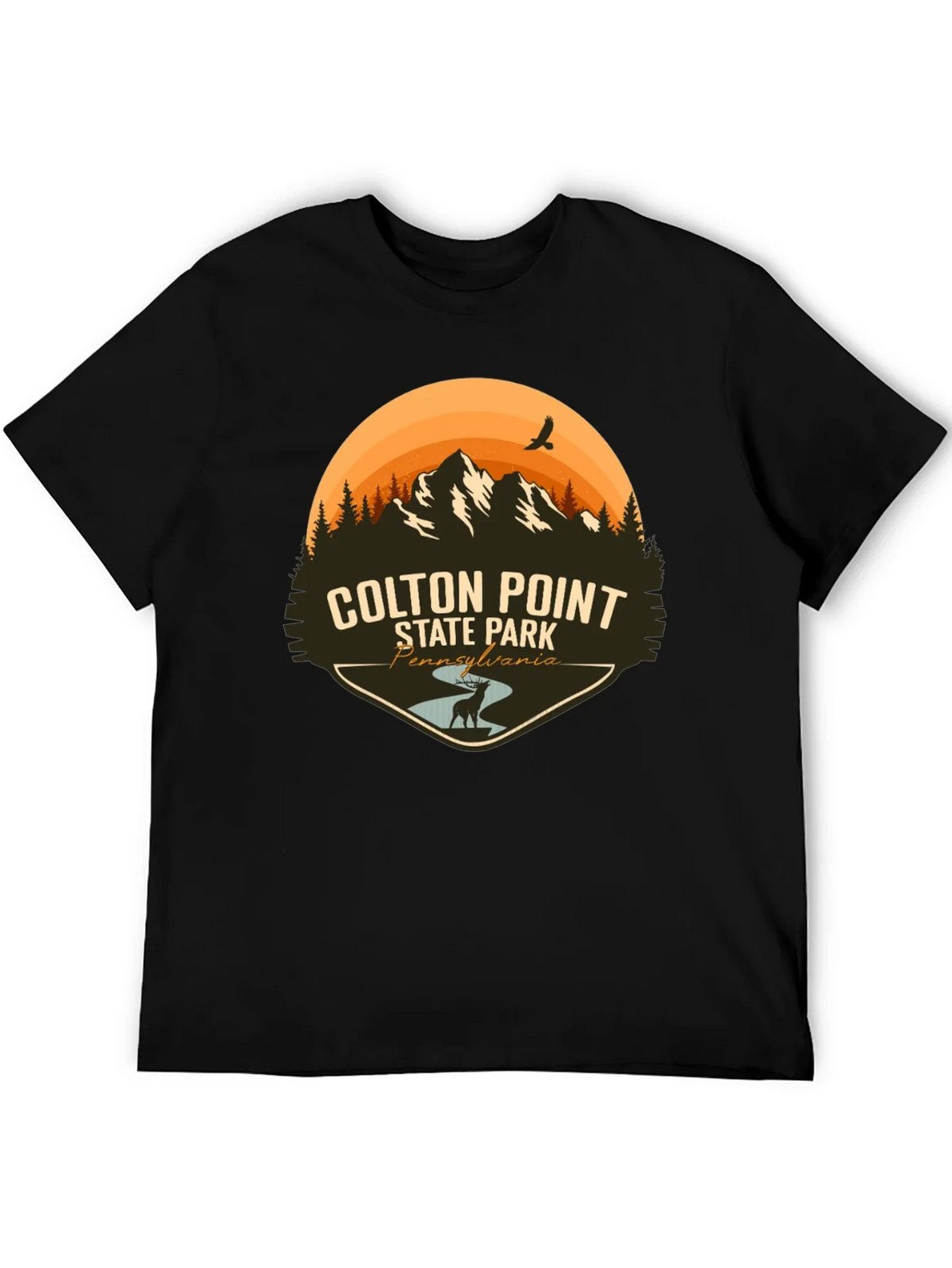 Colton Point State Park T-Shirt - Pennsylvania Souvenir Tee product image 5
