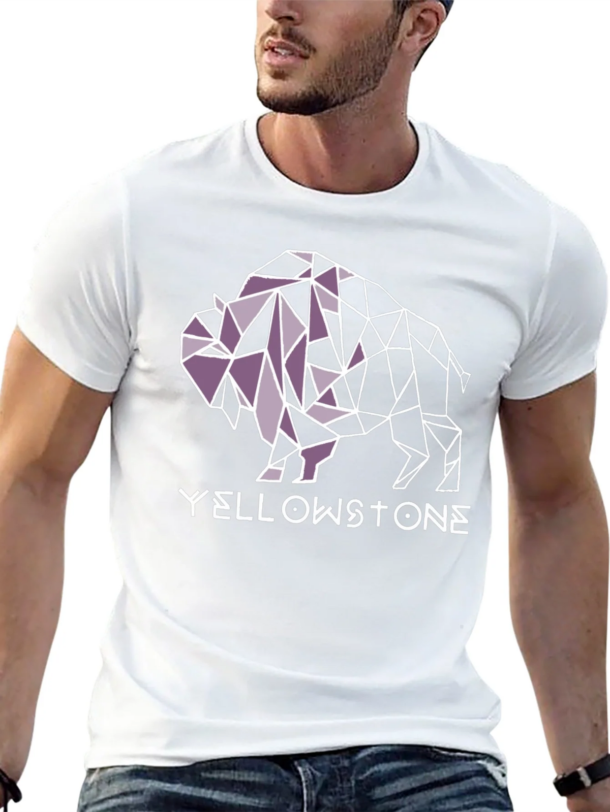 Yellowstone Buffalo Geometric Graphic Tee - Black product image 12