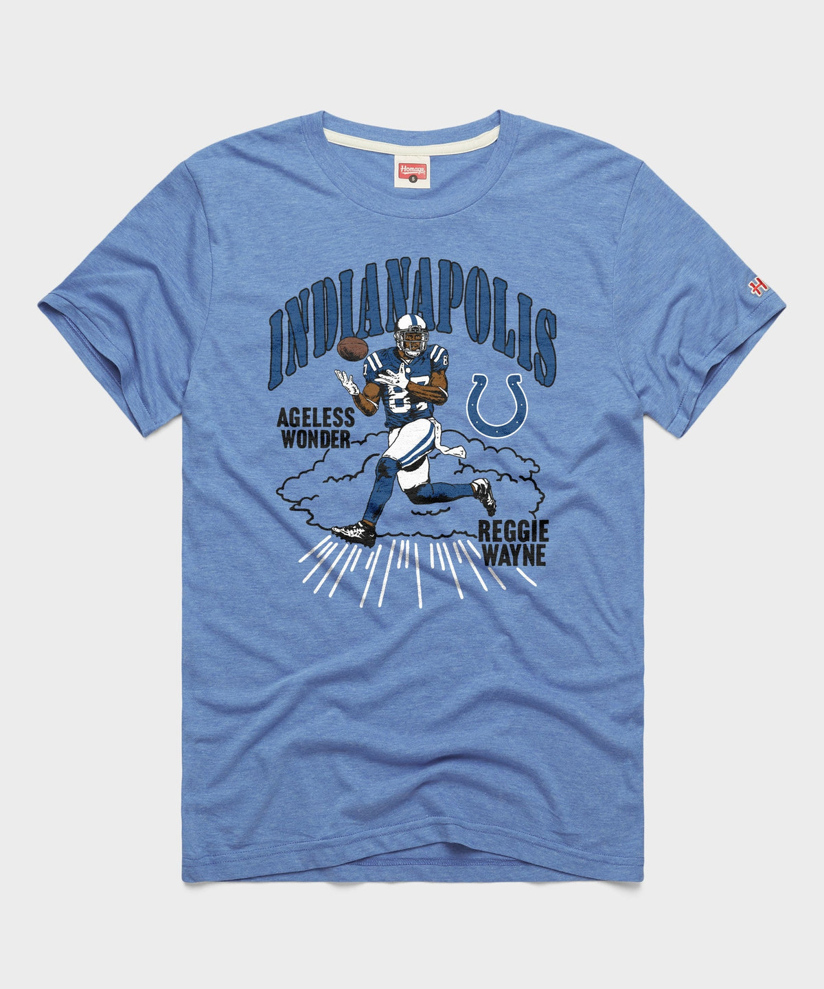 Indianapolis Colts Reggie Wayne product image 1