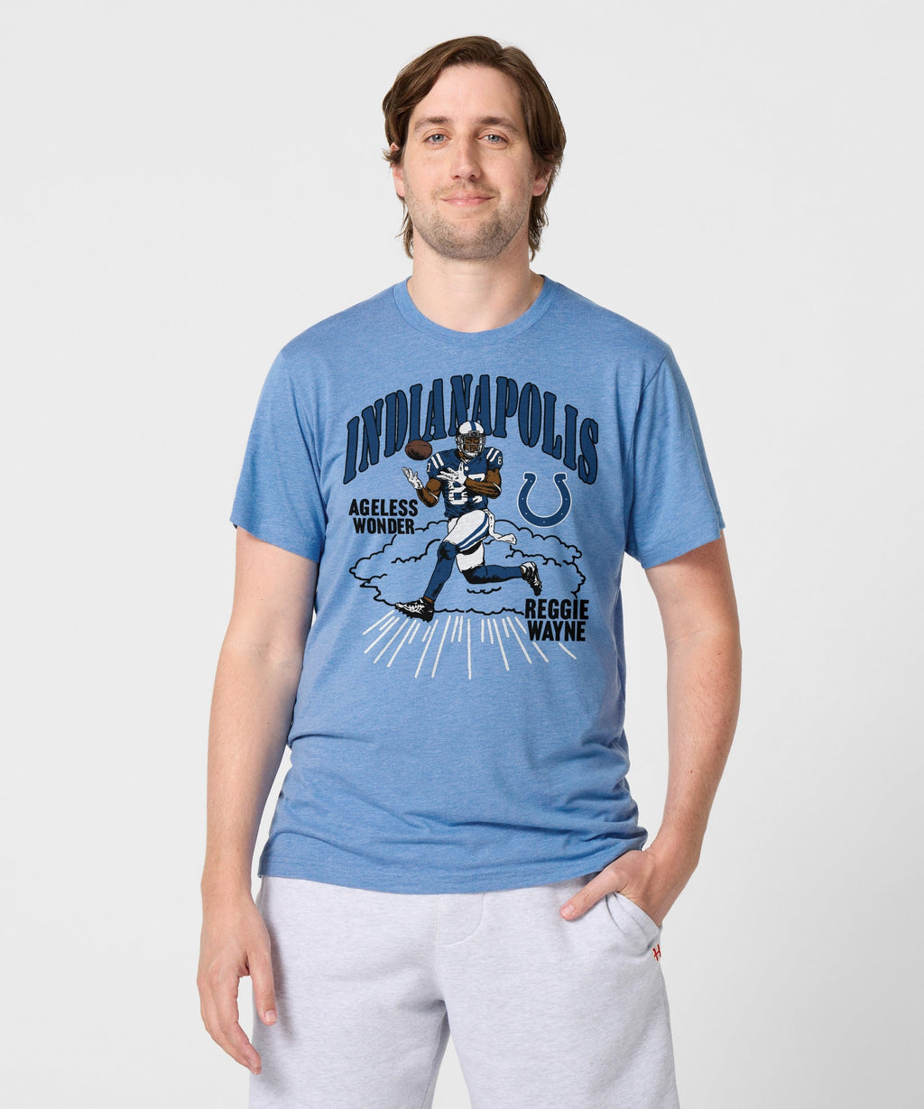 Indianapolis Colts Reggie Wayne product image 3