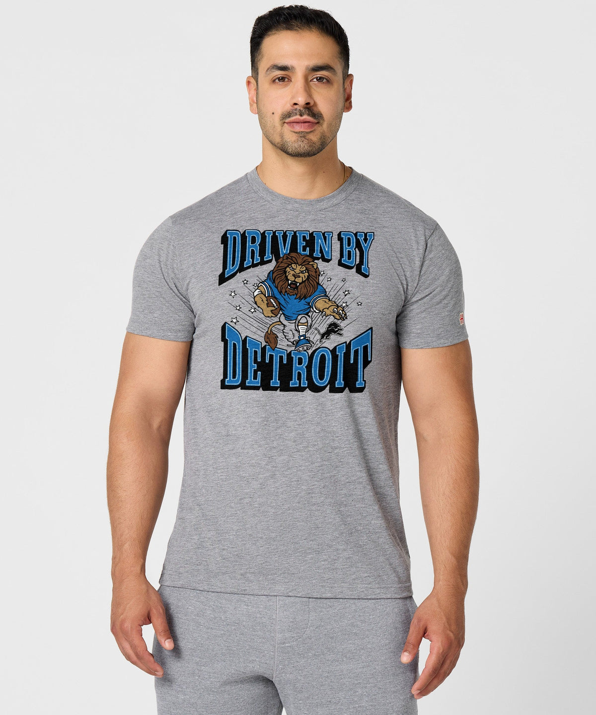 Lions Driven By Detroit product image 3