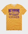 Minnesota Vikings Metrodome product image 1