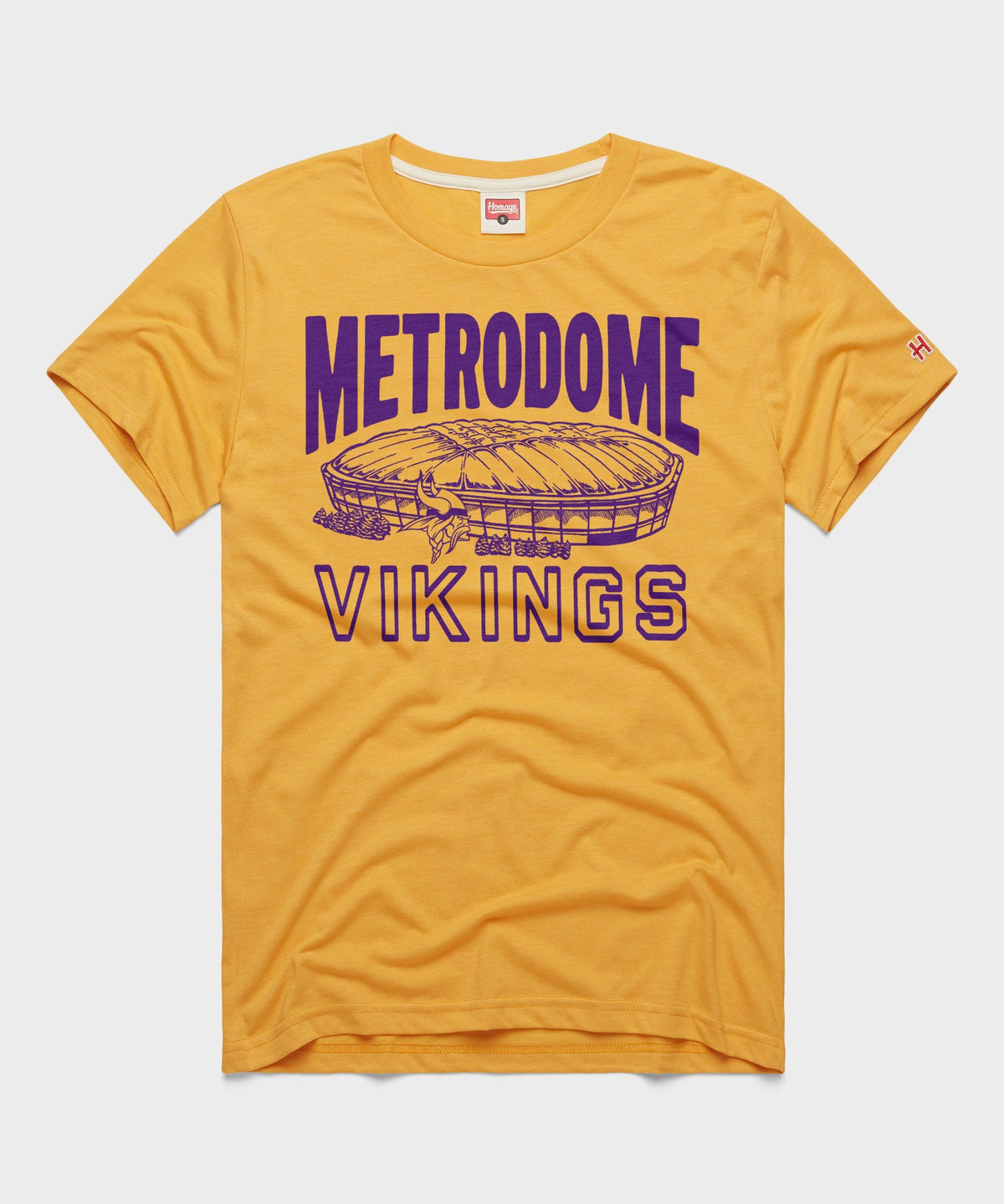 Minnesota Vikings Metrodome product image 1