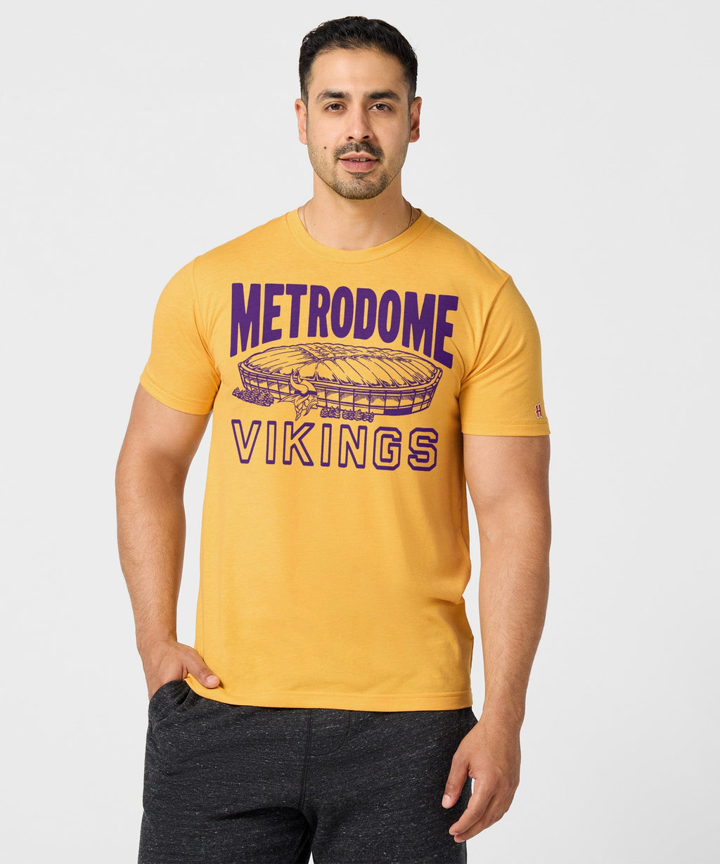 Minnesota Vikings Metrodome product image 3