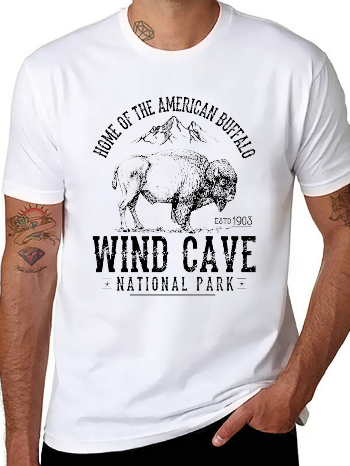 Wind Cave National Park Buffalo Graphic Tee product image 7