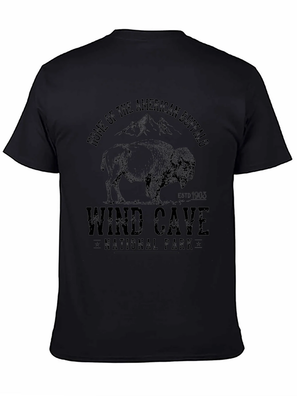 Wind Cave National Park Buffalo Graphic Tee product image 4