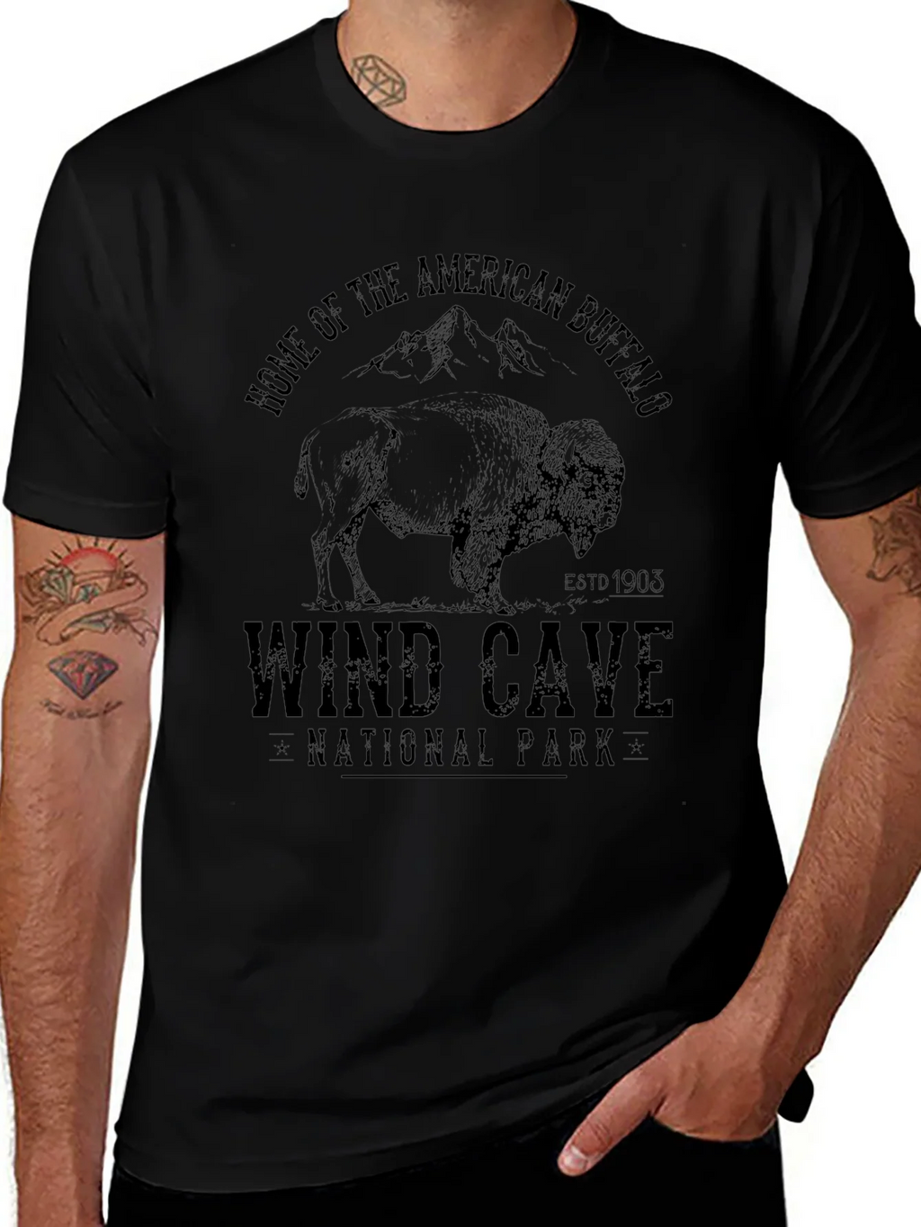 Wind Cave National Park Buffalo Graphic Tee product image 1
