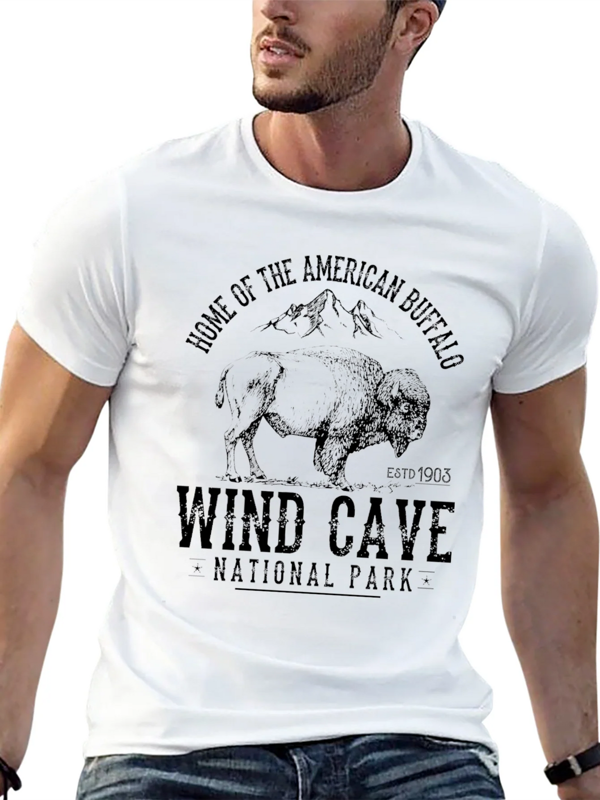 Wind Cave National Park Buffalo Graphic Tee product image 12
