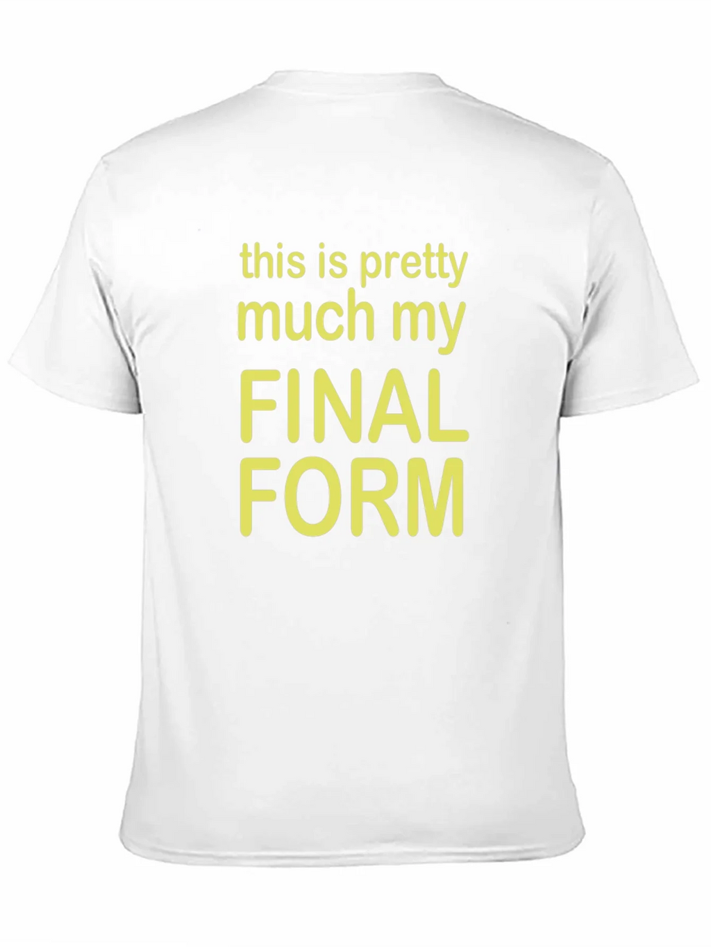 Final Form Graphic Tee - Funny Novelty T-Shirt product image 10