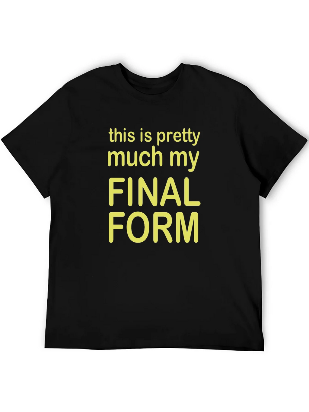 Final Form Graphic Tee - Funny Novelty T-Shirt product image 5