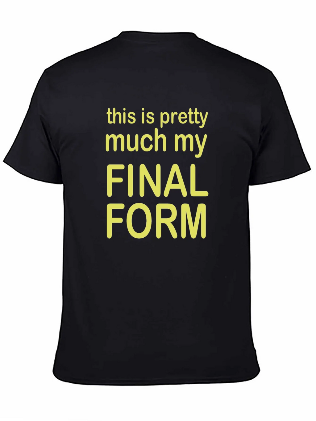 Final Form Graphic Tee - Funny Novelty T-Shirt product image 4