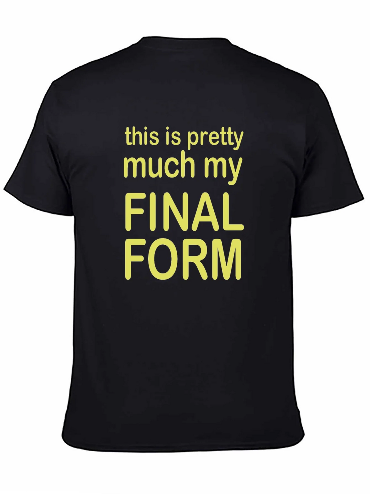Final Form Graphic Tee - Funny Novelty T-Shirt product image 4