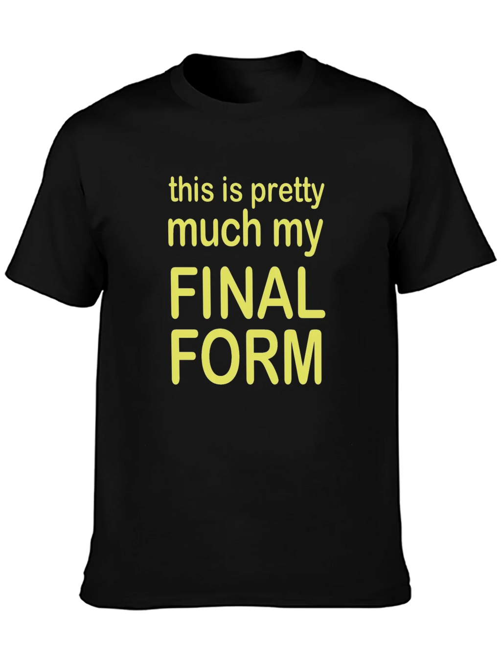 Final Form Graphic Tee - Funny Novelty T-Shirt product image 3