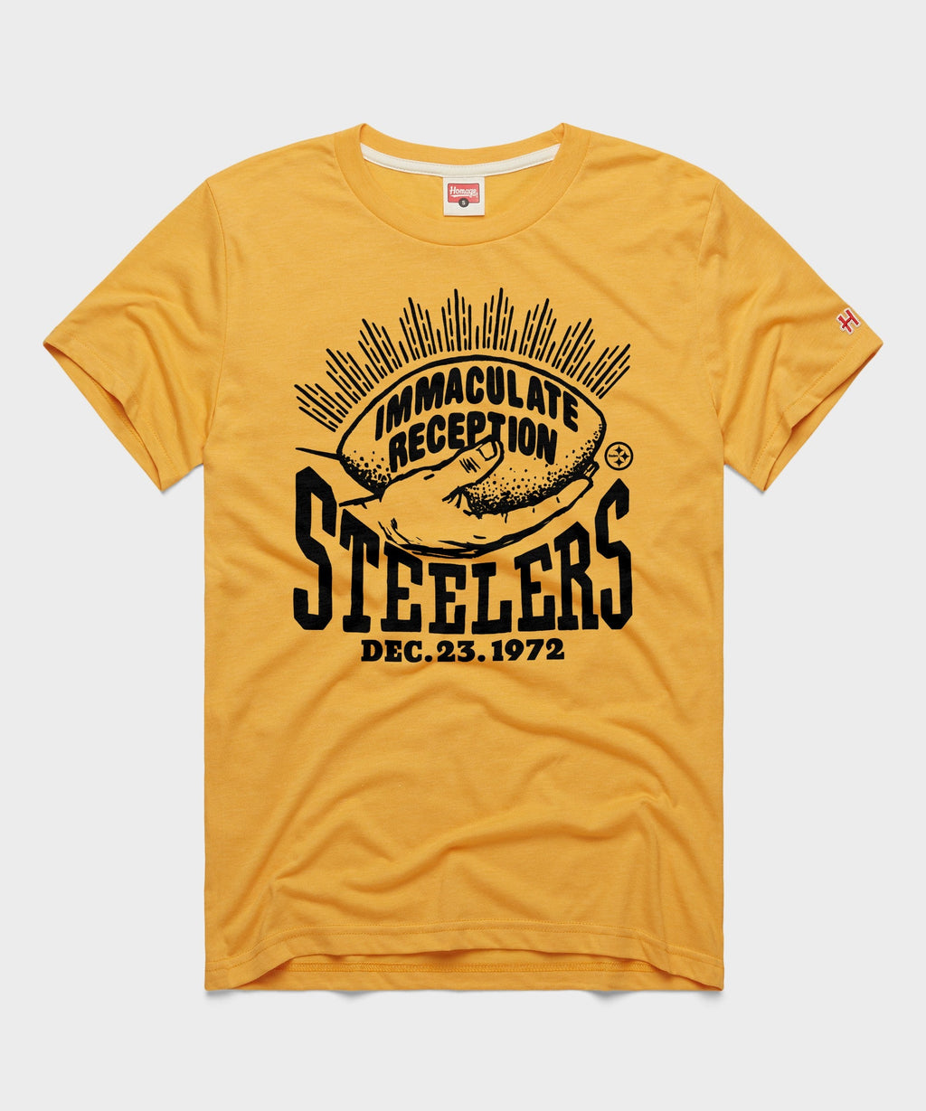 Pittsburgh Steelers Immaculate Reception product image 1