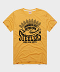 Pittsburgh Steelers Immaculate Reception product image 1