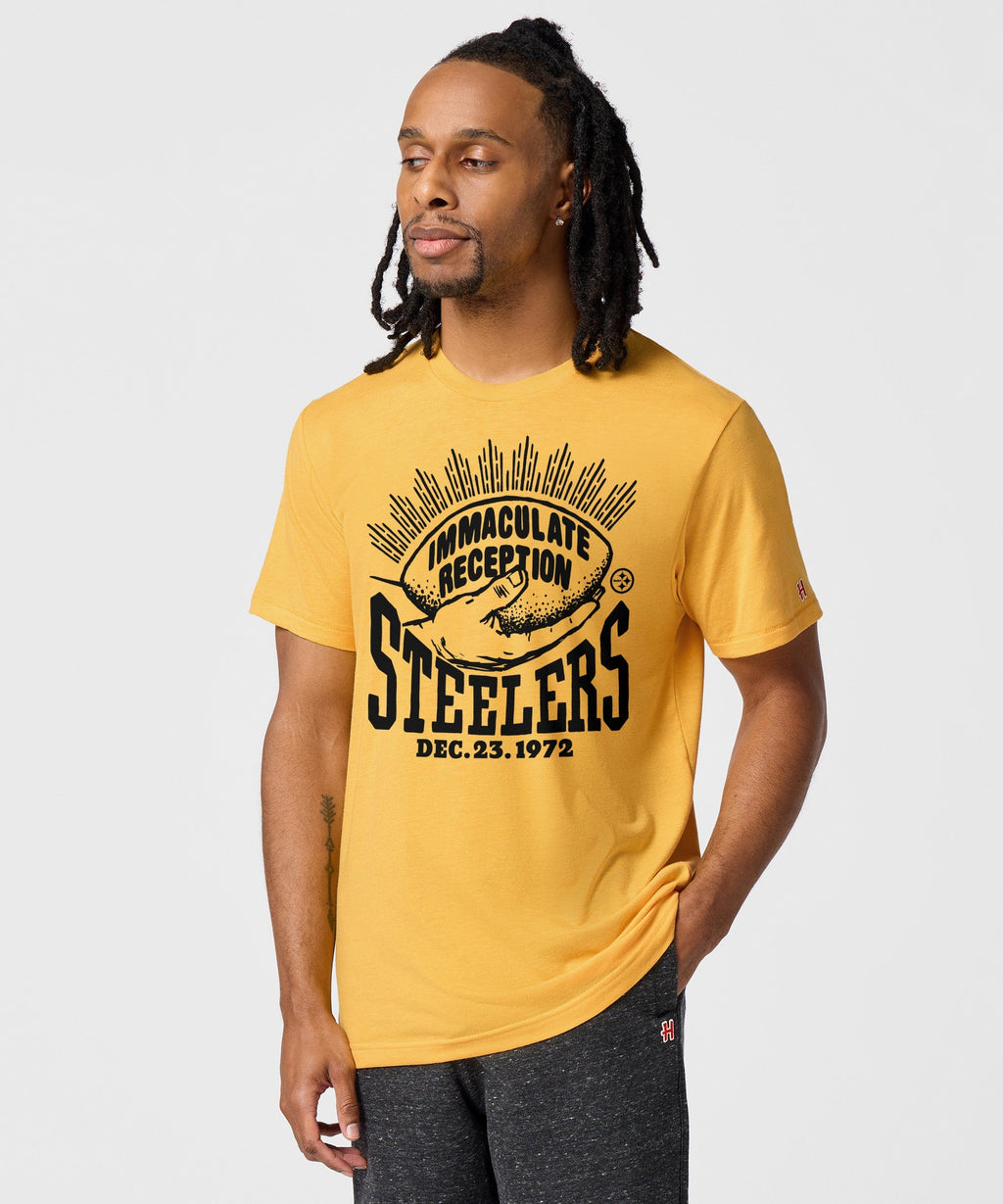 Pittsburgh Steelers Immaculate Reception product image 3