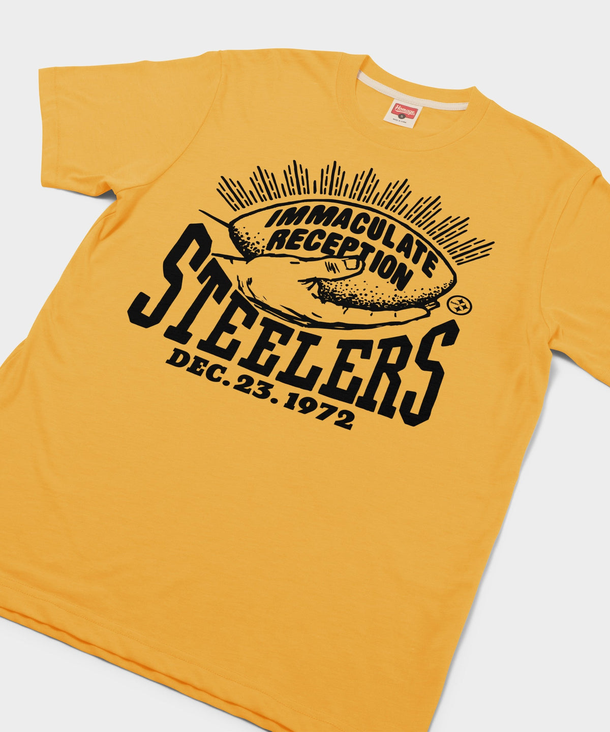 Pittsburgh Steelers Immaculate Reception product image 2
