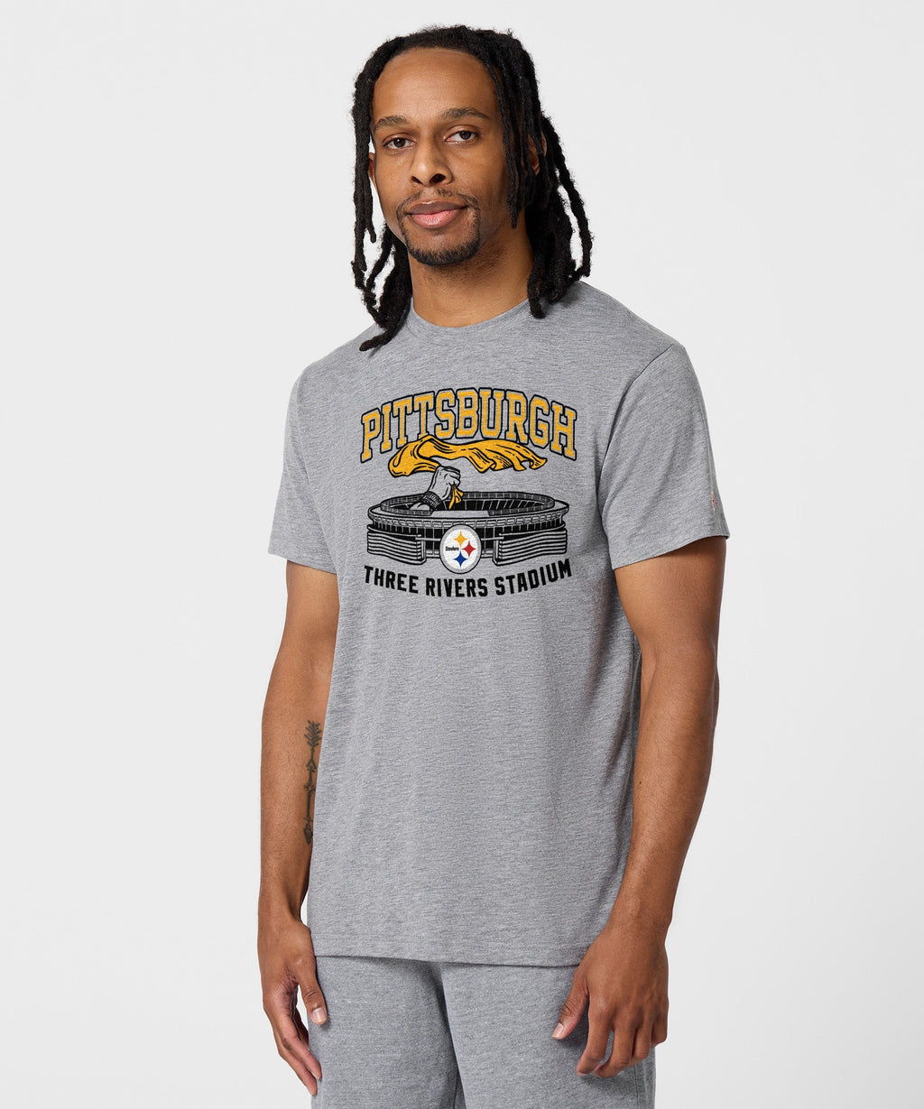 Pittsburgh Steelers Three Rivers Stadium product image 3