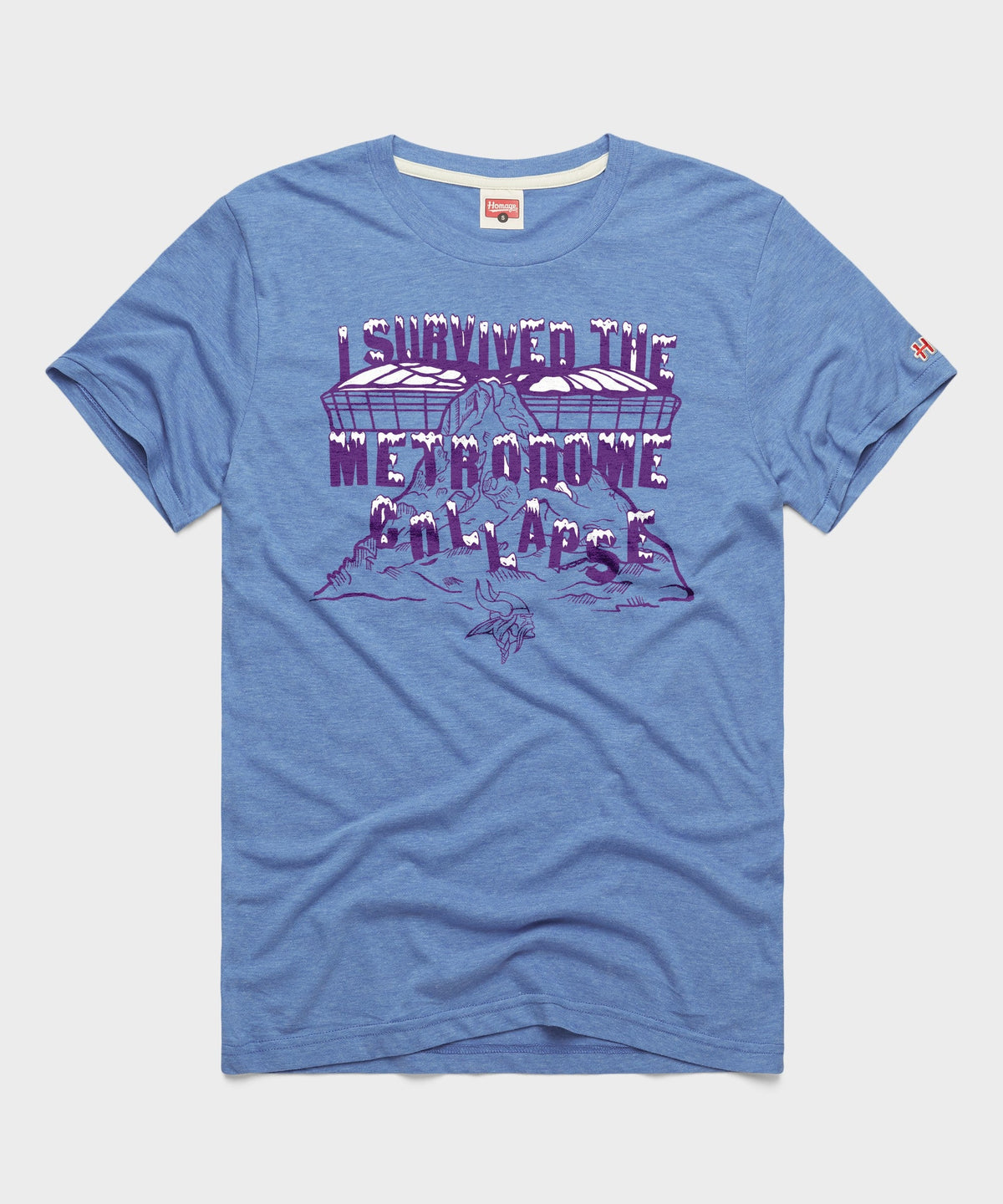 Vikings I Survived The Metrodome product image 1