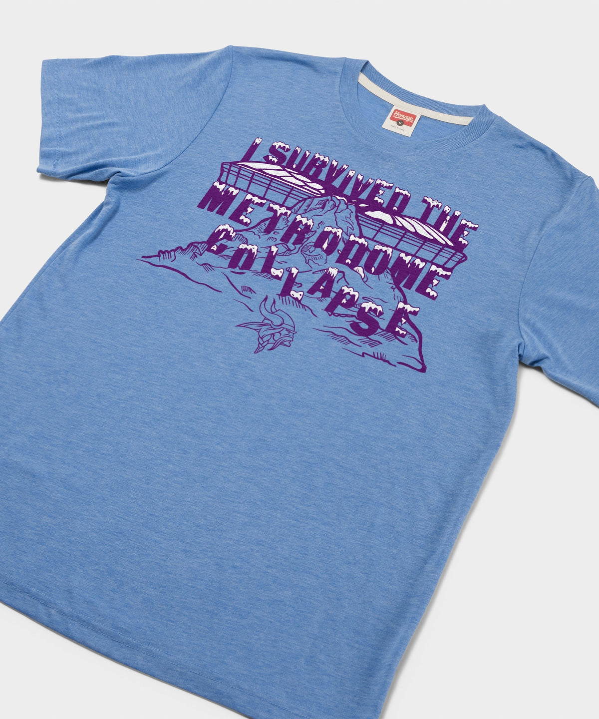 Vikings I Survived The Metrodome product image 2