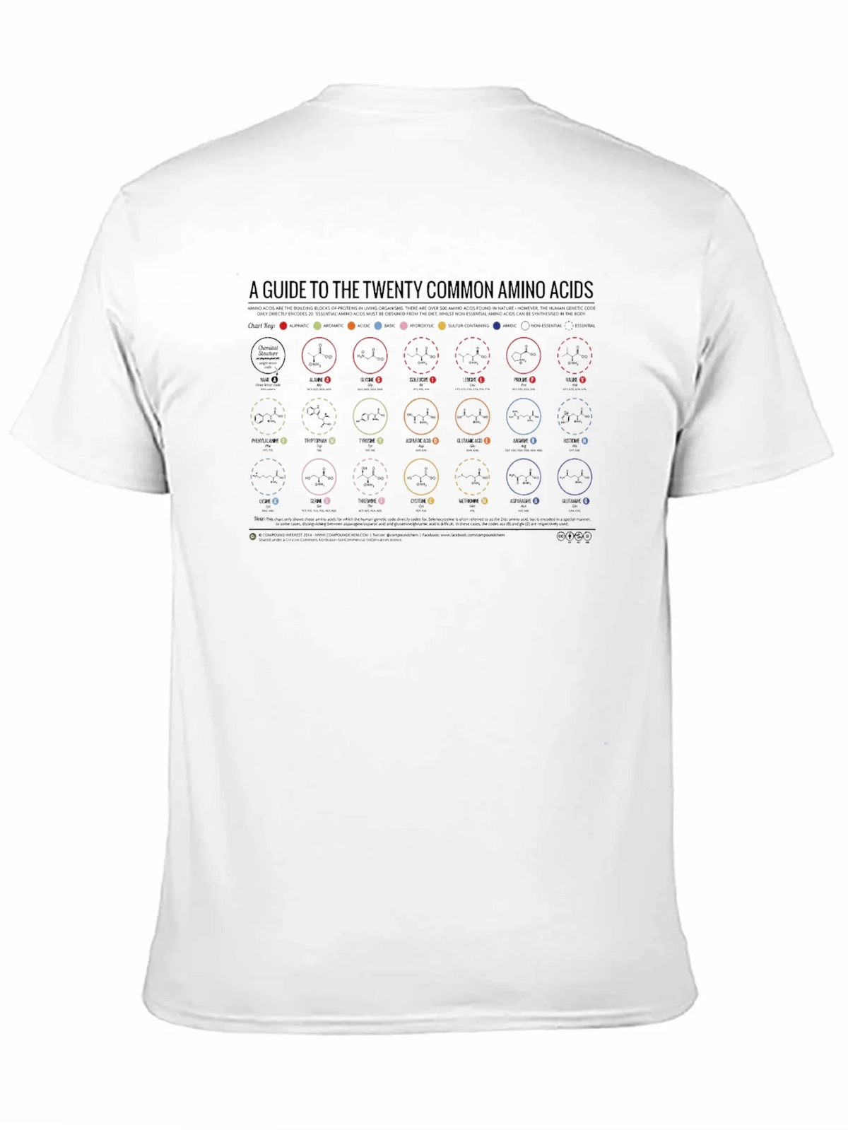 Amino Acids Guide Graphic Tee product image 9