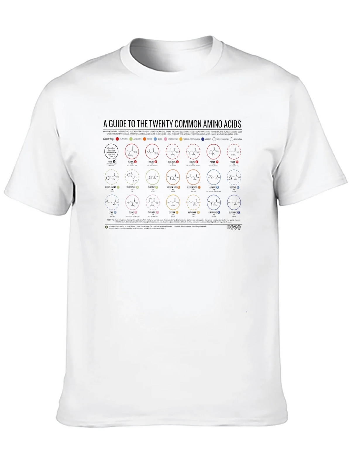 Amino Acids Guide Graphic Tee product image 8