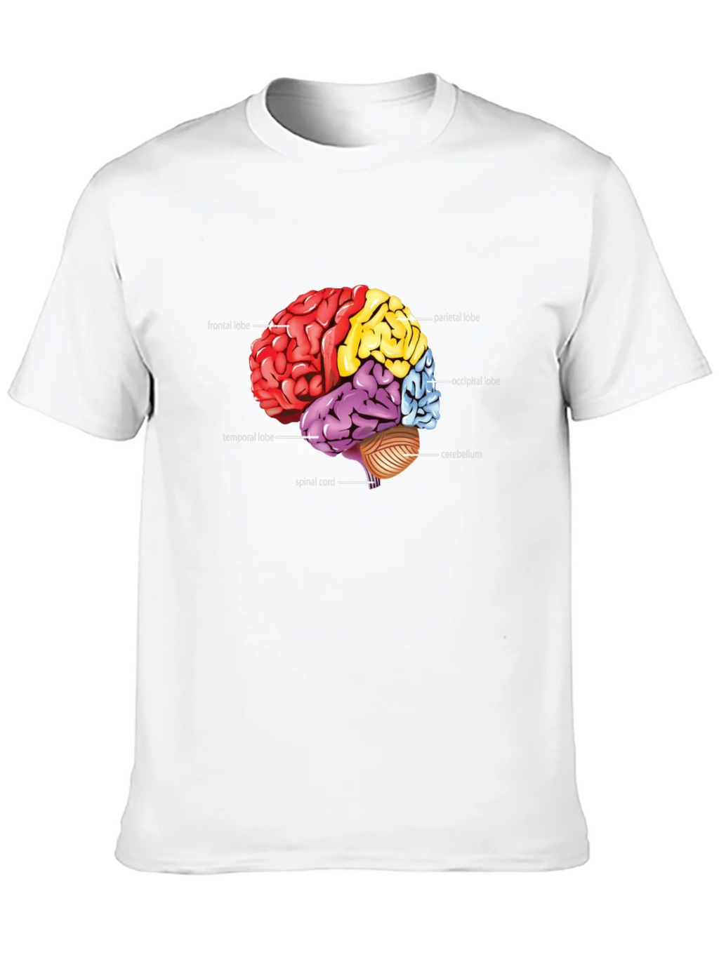 Anatomical Brain T-Shirt product image 9