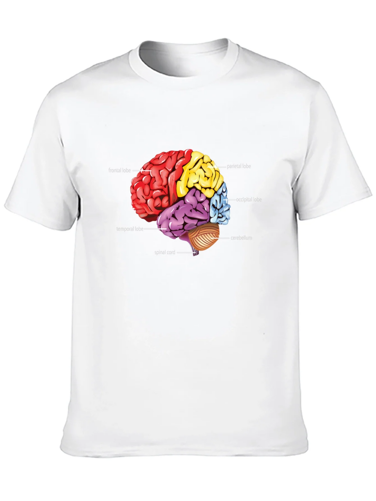Anatomical Brain T-Shirt product image 9