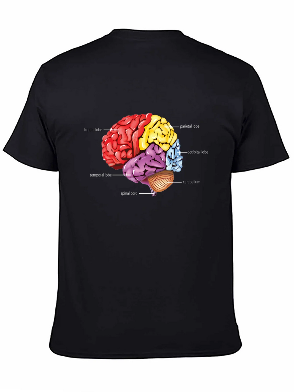 Anatomical Brain T-Shirt product image 4