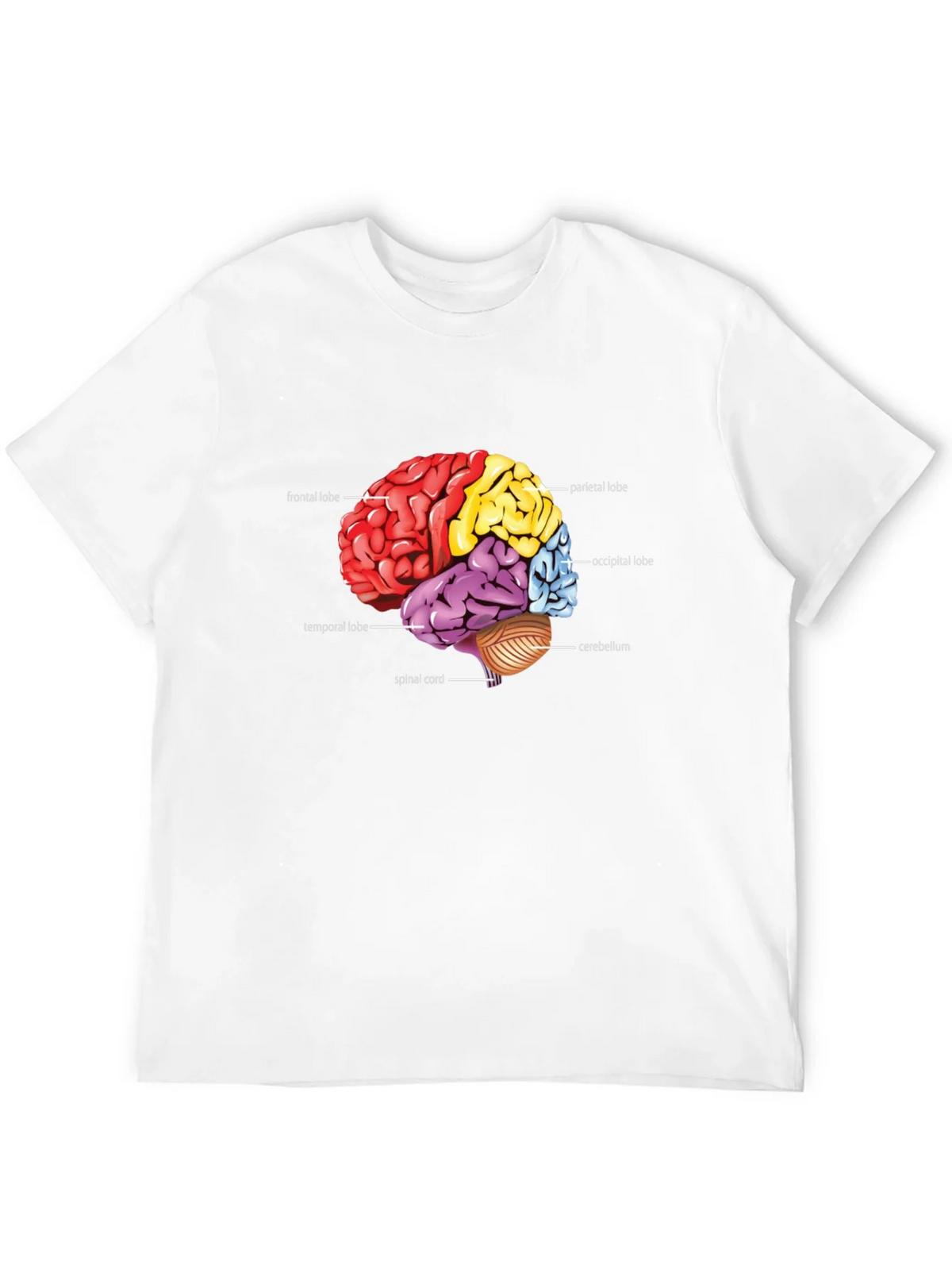 Anatomical Brain T-Shirt product image 11