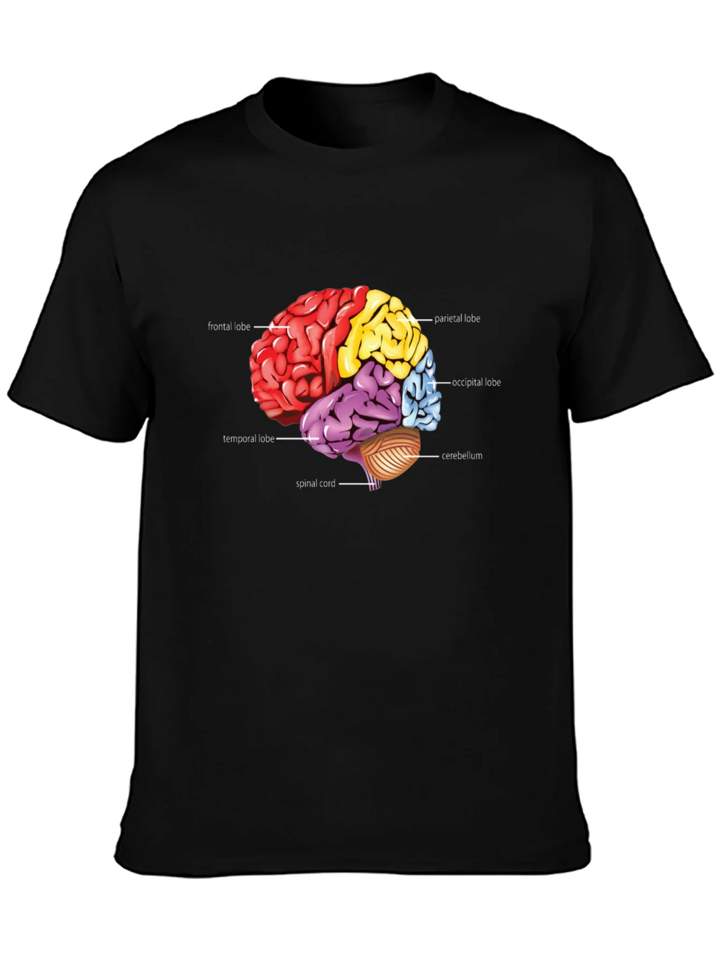 Anatomical Brain T-Shirt product image 3
