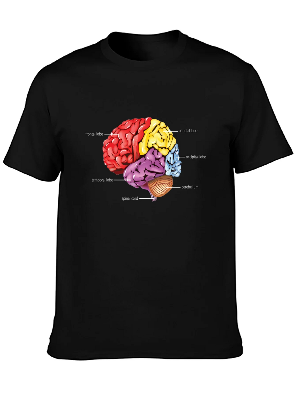 Anatomical Brain T-Shirt product image 3