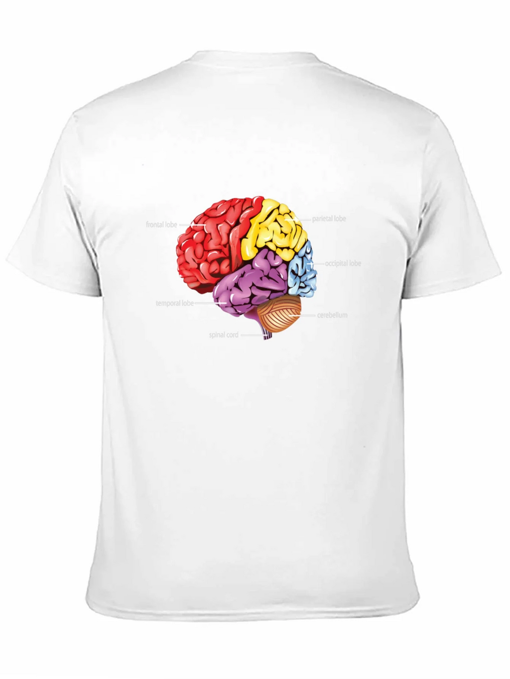 Anatomical Brain T-Shirt product image 10