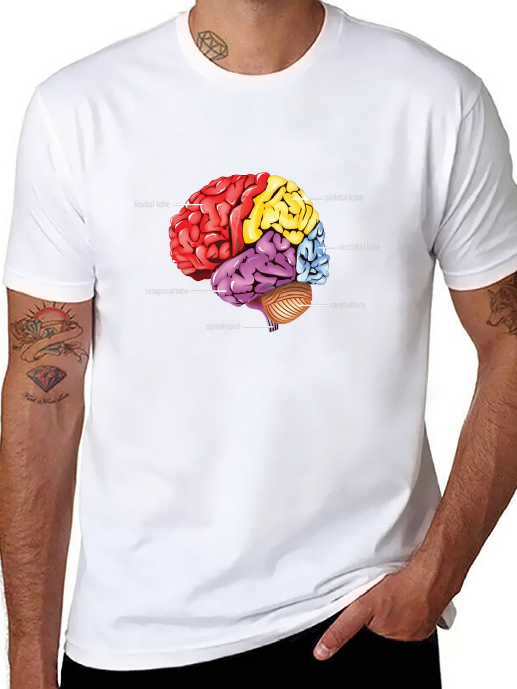 Anatomical Brain T-Shirt product image 7
