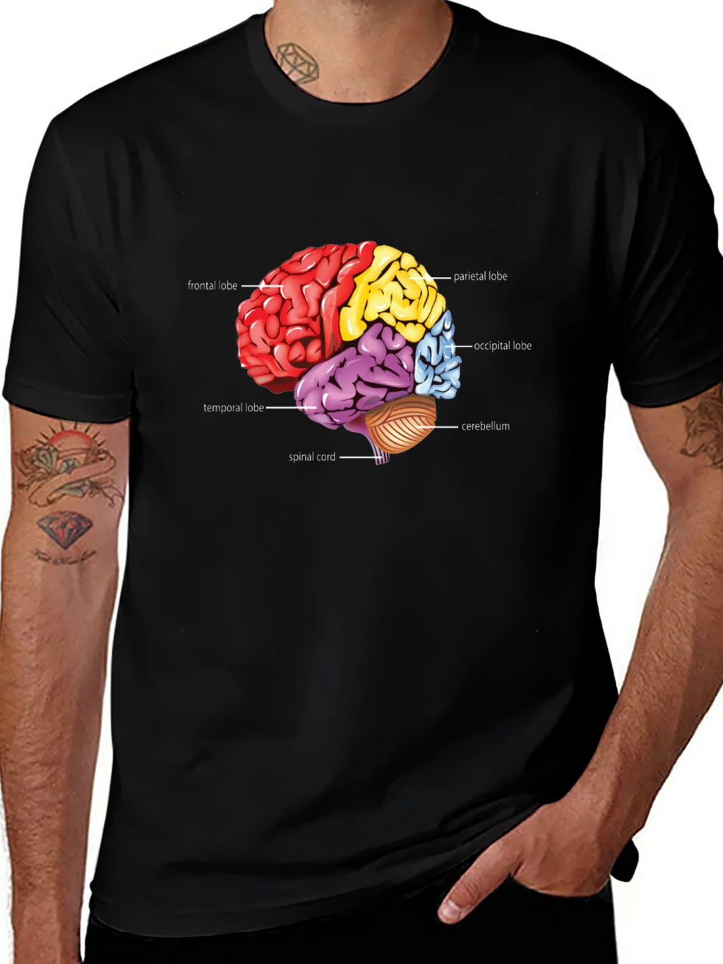 Anatomical Brain T-Shirt product image 1