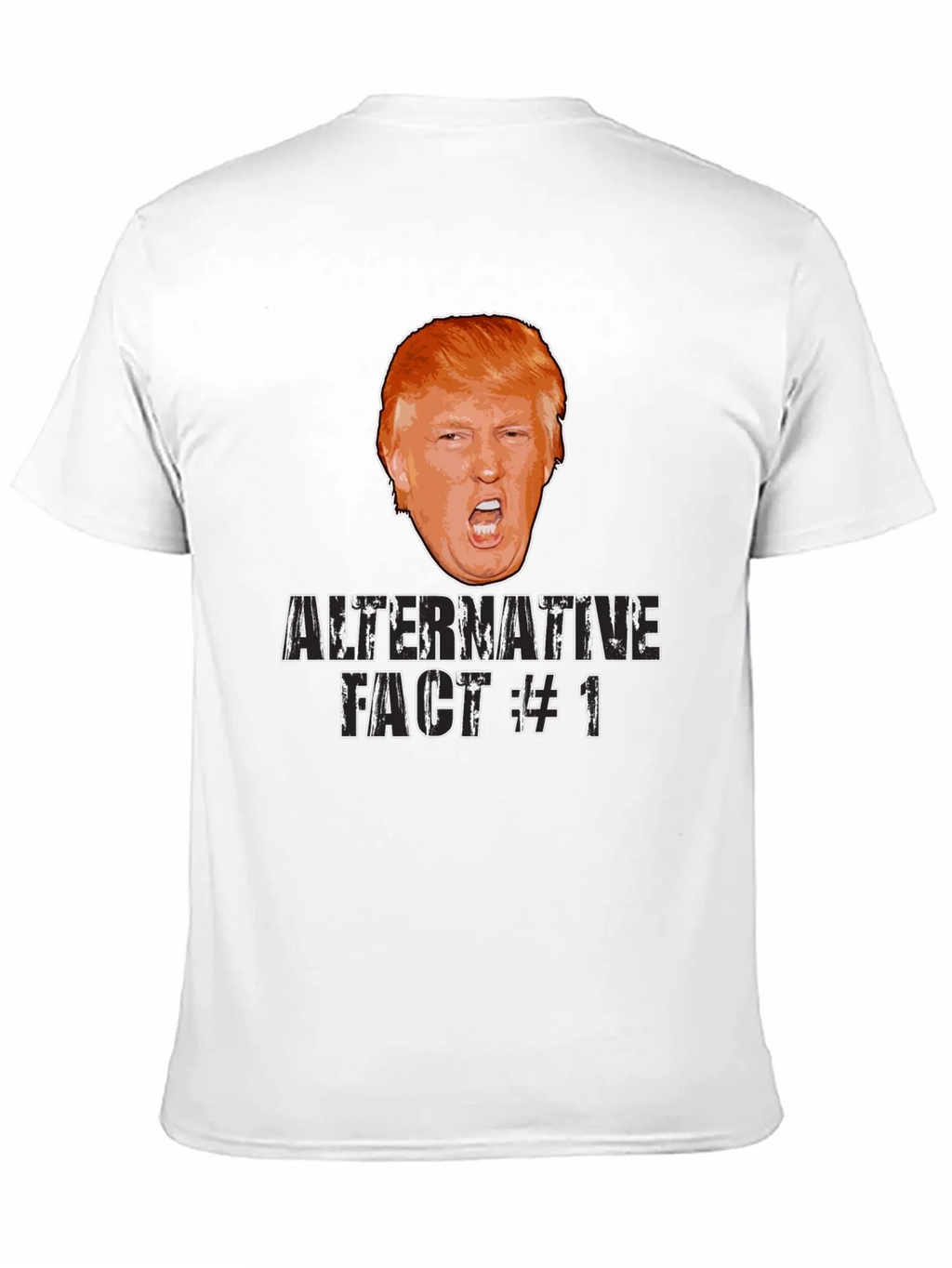 Alternative Fact #1 Graphic Tee product image 10