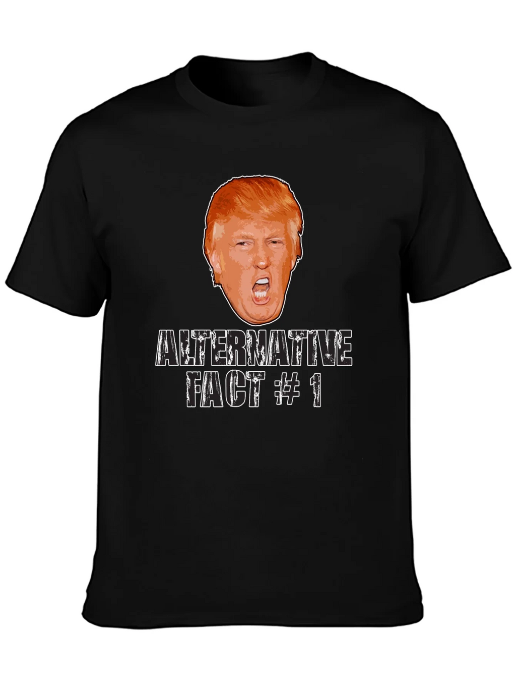 Alternative Fact #1 Graphic Tee product image 3